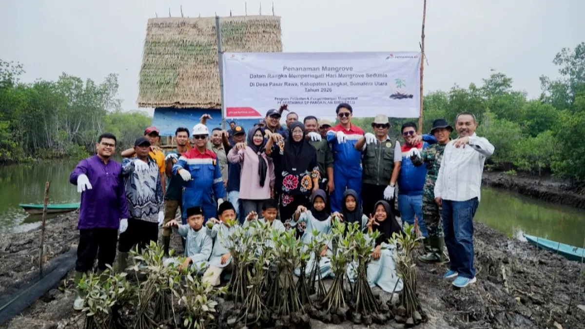 Pertamina EP Pangkalan Susu Tanam 2.500 Bibit Bakau