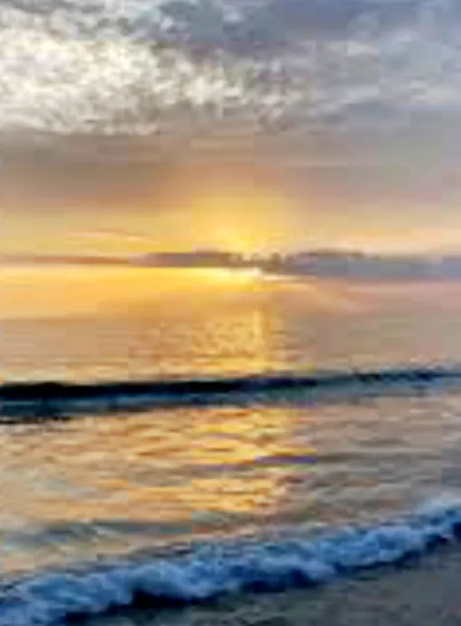ef1c574b-69f1-42f4-b302-d19664046304.webp